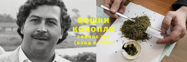 трава Горно-Алтайск