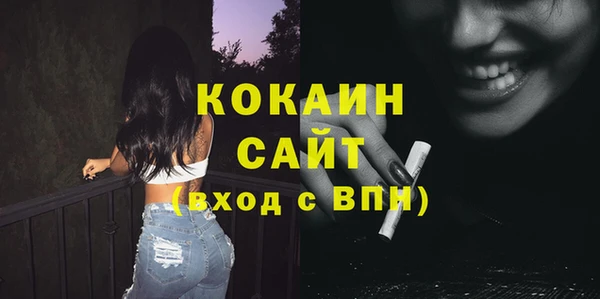 твердый Горняк