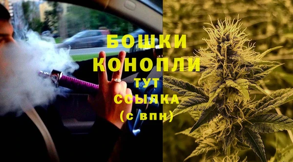 трава Горно-Алтайск