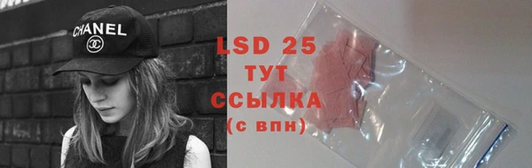 твердый Горняк