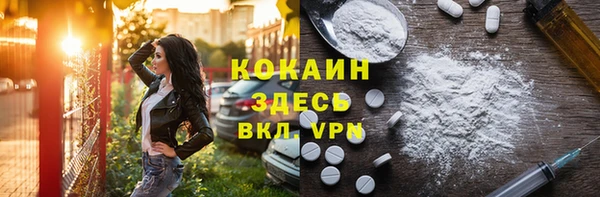 твердый Горняк