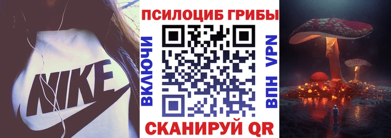 Псилоцибиновые грибы Psilocybine cubensis Челябинск